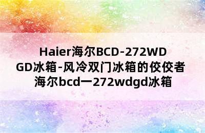 Haier海尔BCD-272WDGD冰箱-风冷双门冰箱的佼佼者 海尔bcd一272wdgd冰箱